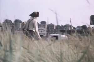 Dark-haired beauty gives head and receives her curly cum-hole pounded