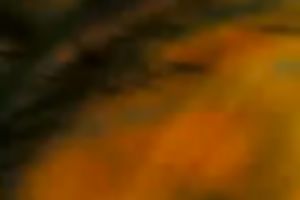 My Indian dark brown mother I'd like to fuck has sexy love bubbles and u should watch it