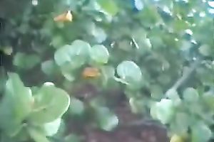 I love it when my sex-starved paramour pounds me hard from behind