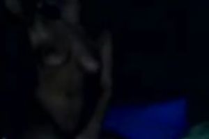 Horny golden-haired colleague sucks my schlong before taking it in her muff