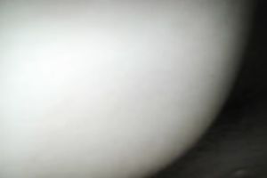 Sexy hottie with divine butt wishes me to group sex her from the back