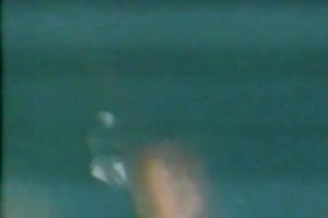 Lustful voracious tramps fight for one lengthy weenie