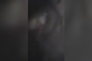 White babe is blowing my giant dark knob like a super qualified doxy