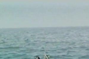 Dirty wench pleases 2 sexually excited dudes in Male+Male+Female 3some fucking on yacht in the open air