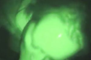 My excited girlfriend Isabelle knows how to give a flawless oral-service