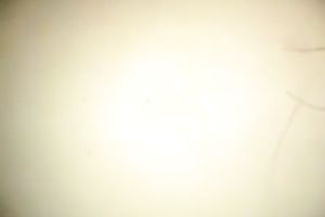 Two lesbo doxies loved to finger drill their vaginas