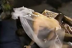 Sexy bride s pussy being entered