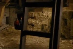 Two astonishing and impure whores with priceless bodies licks the clits