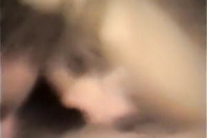 Kinky and smutty golden-haired haired whore with good booty sucks the jock