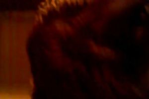 Mature brunette hair white wife sucks my shaft in homemade movie scene