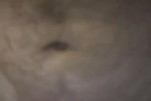 My cum-addicted girlfriend can suck my ramrod whilst being blindfolded