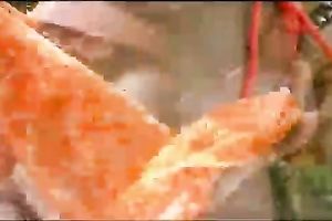 These lesbos are showing a bit of anything on web camera