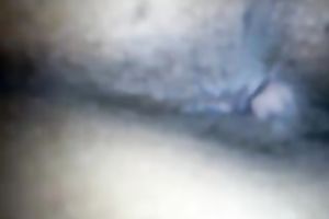 My juicy-assed GF lets me tickle her admirable fur pie in POV video