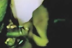 Juggy exotic harlot kneels in front of a fellow to engulf his prick