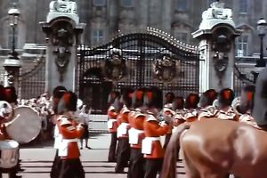 Long haired blondie rides her lover's on top and gives him head