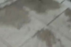 Following a woman with gorgeous arse in the street