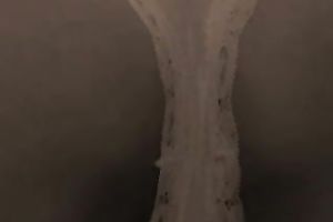 Erotic homemade solo episode with me fingering my cum-hole