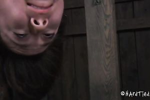 Hogtied thrall with priceless gazoo is hanging in the air