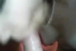 Skinny girlfriend with large glamorous eyes blows me on livecam