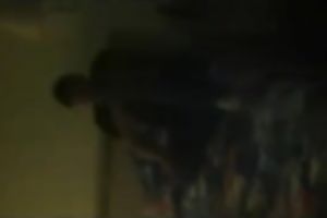 Blue-eyed brunette hair floozy sucks my shaft remarcably well