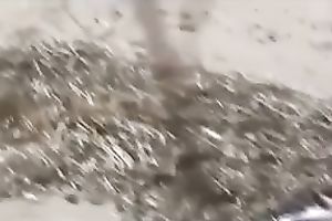 Got caught fucking his sweetheart at the beach from the back