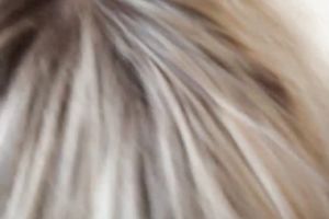 Busty golden-haired honey blows and acquires her muff drilled unfathomable