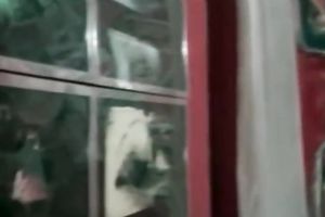 Big breasted lusty chicks have immodest flying 69 pose snatch eating