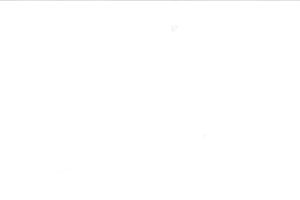 Grown folks have pleasure in bed that might look nice-looking freaky