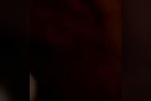 Asian milf sucks a jock after getting her pussy toyed