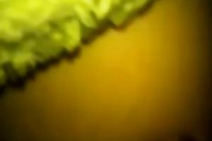 My nasty girl enjoys fingering her wet shaggy love tunnel