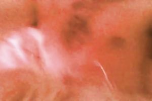 My naughty girlfriend sucks my rod and licks my balls like a true bitch