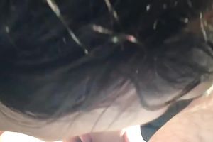 My full bosomed girlfriend is giving me a priceless oral-stimulation in my car