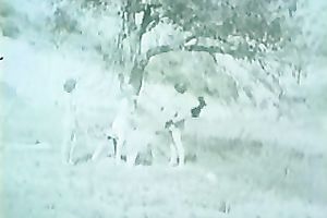 Outdoor movie with 3 nice-looking bare pin-up cuties