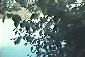 That Babe just wanted to stick smth into her juicy cum-hole