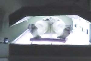 Spying on my lewd client masturbating in a solarium