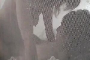One of the most boring livecam copulates comes from Asia