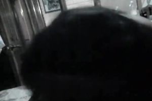 Amateur sweetheart sucks a 10-Pounder and takes a terrific ride on it