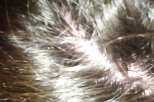 Ugly fattie enjoys engulfing my dark schlong in sexy POV movie