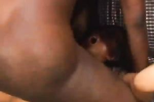 Horny dark doxy with great shapes receives her cookie hammered