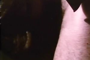 Teenage angels with hawt bodies blow hard penis with enjoyment