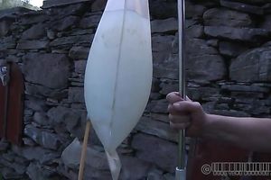 Unbelievably lewd wench with diminutive zeppelins is hogtied on the grass