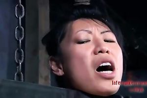 Asian honey with fake bumpers is suspended with chains