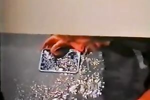 Horny college teachers crave to fuck in restroom