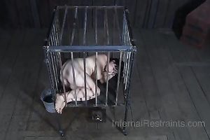 Attractive brunette hair babe prisoned in cage drinks water from bucket and pees in it