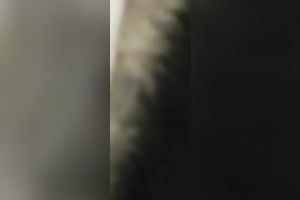 I am a real floozy and I love masturbating in the public restroom