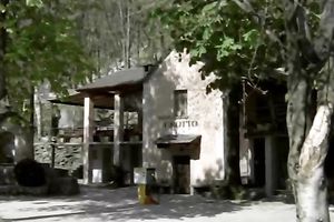 Kinky and steamy wench with priceless scoops receives pushed on the sofa