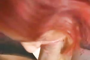 Red-haired prostitute sucks my rod remarkably well indoors
