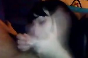 POV act with a dark brown prostitute engulfing and rubbing my schlong