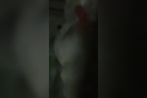 I receive moist just now when I masturbate for my online viewers