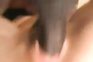 My agonorgasmos lust girl appears to be to be obsessed with my BBC